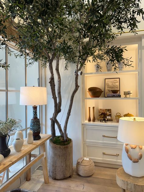 Indoor Olive Tree, Tree Interior, Indoor Tree, Faux Olive Tree, Living Room Plants, Indoor Trees, Interior Plants, Potted Trees, Olive Tree