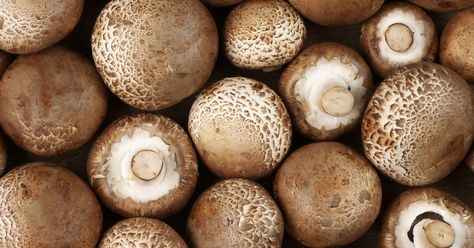 White Button Mushrooms, Mushroom Benefits, Maitake Mushroom, Button Mushroom, Button Mushrooms, Edible Mushrooms, Cremini Mushrooms, Portobello Mushroom, Pantothenic Acid