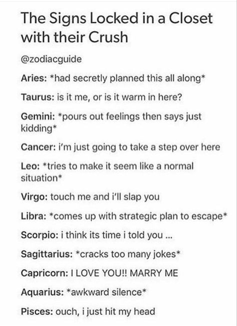 Aries X Pisces, Aquarius X Aries, Awkward Silence, Zodiac Things, Zodiac Signs Chart, Zodiac Funny, Zodiac Signs Sagittarius, Zodiac Signs Leo, Zodiac Sign Traits