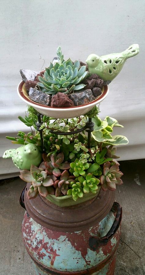 Gardening Design Diy, Junk Garden, Succulent Garden Indoor, Bucket Gardening, Succulent Garden Design, Succulent Landscaping, Succulent Garden Diy, Garden Junk, Recycled Garden