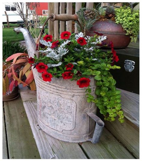 awesome Amazing Decor Ideas for Gardening With Antiques https://matchness.com/2018/04/11/amazing-decor-ideas-for-gardening-with-antiques/ Container Gardening Flowers, Dusty Miller, Garden Containers, Kew Gardens, Container Flowers, Deco Floral, Flower Planters, Garden Gates, Lawn And Garden