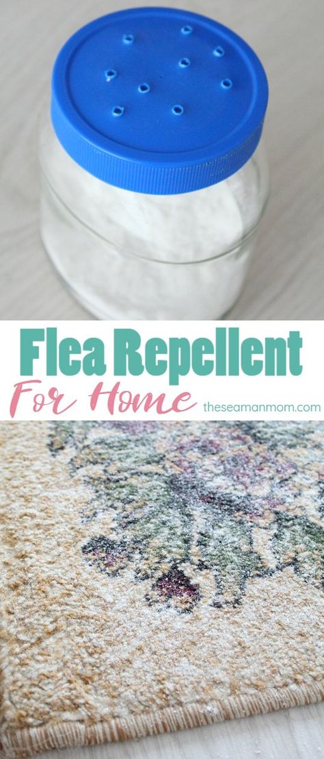 Natural Flea Repellant For Home, Flea Repellent For Home, Diy Flea Killer, Homemade Flea Killer, Natural Flea Killer, American Alsatian, Arm And Hammer Super Washing Soda, Flea Remedies, Flea Repellent