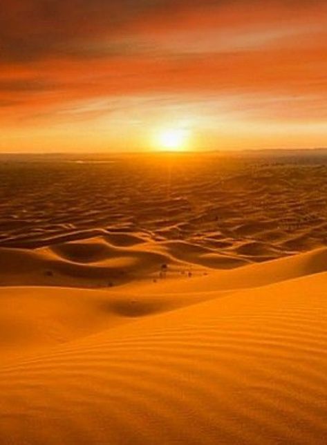 Dubai Photoshoot, Desert Aesthetic, Desert Area, Surreal Portrait, Desert Photography, The Sahara Desert, Desert Life, Pretty Landscapes, Sahara Desert