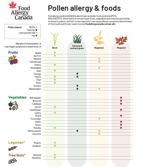 Allergy Shots Humor, Oral Allergy Syndrome Chart, Oral Allergy Syndrome Recipes, Cinnamon Allergy, Eoe Diet, Grass Allergy, Pollen Allergy, Alpha Gal, Fall Allergies