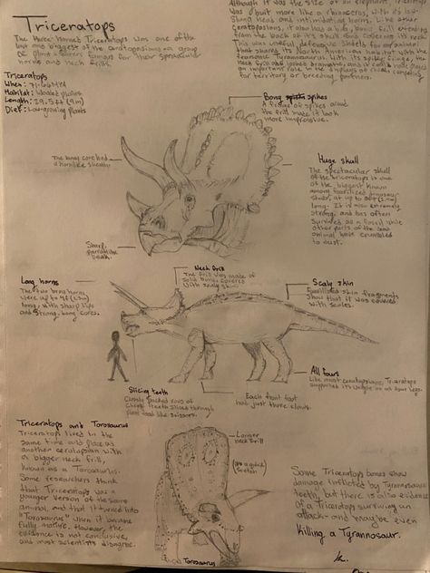 Triceratops Triceratops Wallpaper, Dinosaur Facts, Dinosaur Sketch, Baby Dino, Extinct Animals, Realistic Drawings, Jurassic Park, Dinosaurs, Art Ideas