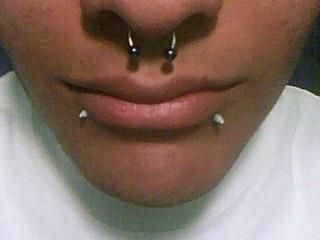 snake bites & septum Septum And Snakebites, Snake Bite Piercing, Oc Board, Snakebites, Snake Bites, Black Lips, Piercing Ideas, Black People, Piercing Jewelry