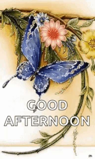 Good Afternoon Rollygifs GIF - Tenor GIF Keyboard - Bring Personality To Your Conversations | Say more with Tenor Blessed Afternoon, Good Afternoon Gif, Butterfly Gif, Tenor Gif, Good Afternoon Quotes, Afternoon Quotes, Good Afternoon, Say More, Animated Gif