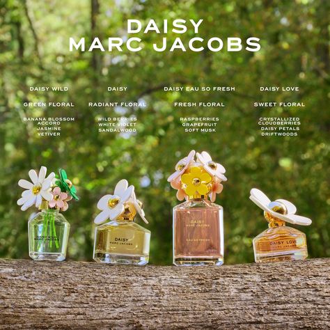 Marc Jacobs Daisy Wild is an invitation to reconnect with nature. The floral scent offering is bold and feminine, taking the senses on an outdoor adventure with its whimsical blend.  The 30ml Eau de Parfum encapsulates the freshness of a wildflower bouquet. Pairing fruity banana blossom with sensuous jasmine and nutty macadamia, the fragrance veils the skin in a scent that captivates with every spritz, underpinned by warm sandalwood and vetiver des sables for a multi-faceted finish.  The iconic Daisy Marc Jacobs, Daisy Eau So Fresh, Banana Blossom, Daisy Petals, Marc Jacobs Daisy, Daisy Love, Feminine Fragrance, Wildflower Bouquet, Wild Berry