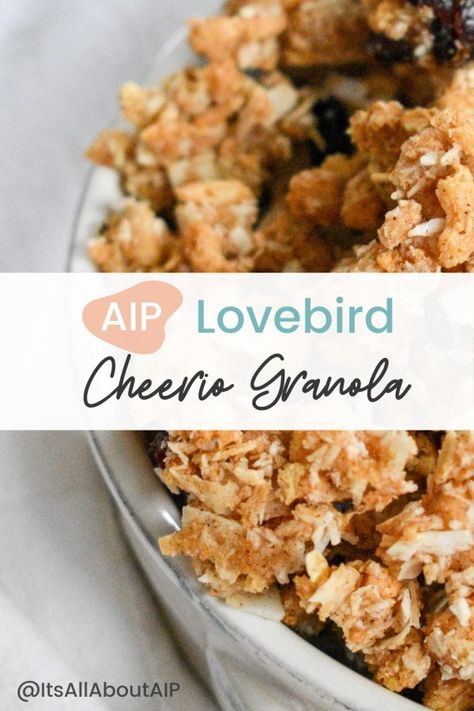 AIP LoveBird Cheerio Granola Aip Granola Recipes, Cheerio Granola, Aip Granola, Autoimmune Breakfast, Kawaii Recipes, Aip Paleo Desserts, Aip Snacks, Aip Vegan, Aip Diet Recipes