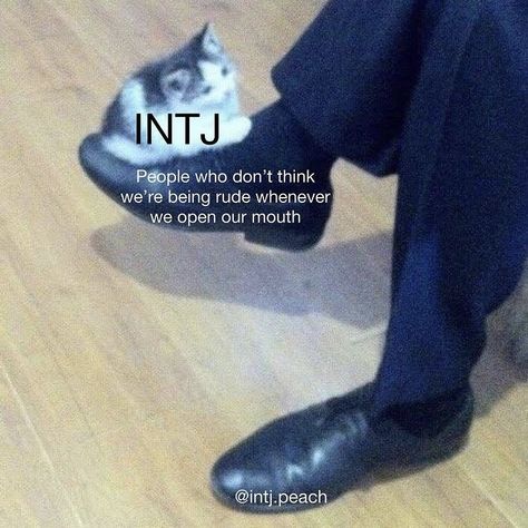 Intj Memes Funny, Infj And Intj, Infj X Intj, Intj Things, Intj 5w6, Intj Infp, Intj Problems, Intj Entj, Entp And Intj