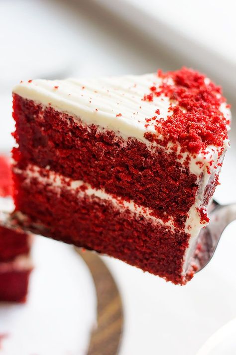 Close up image of red velvet cake slice. Red Velvet Cake Recipe Easy, Gluten Free Red Velvet Cake, Southern Red Velvet Cake, Best Red Velvet Cake, Bolo Red Velvet, Red Velvet Cake Recipe, Velvet Cake Recipes, Keto Sweets, Red Velvet Cake