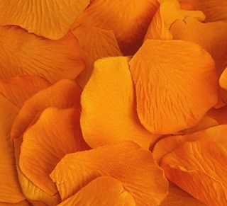 100 Silk Rose Petals In Orange  $7 Rose Petals Falling, Fake Rose Petals, Flower Girl Petals, Whatever Forever, Fresh Rose Petals, Silk Rose Petals, Yennefer Of Vengerberg, Rustic Pumpkin, Wedding Petals