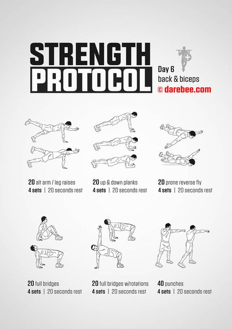 Challenges Fitness, Men Exercises, Fitness Challenges, Motivation Exercise, Fitness Community, Exercise Tips, Leg Raises, Back And Biceps, Workout Guide