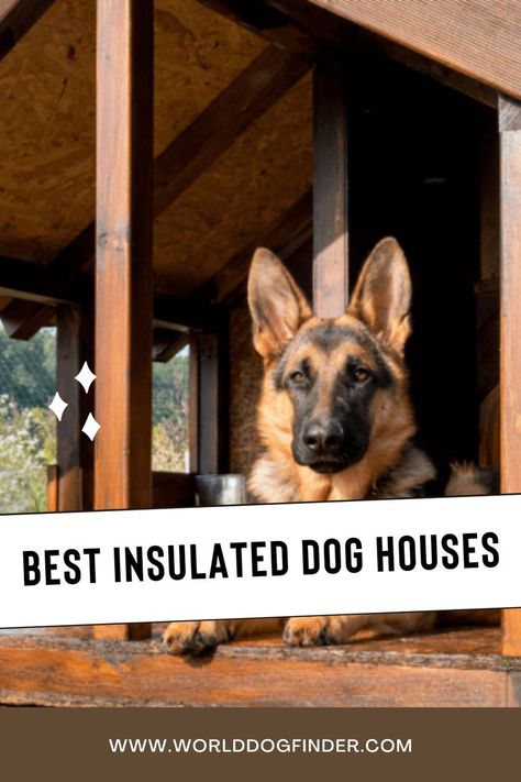 Most dog owners these days prefer having their dogs with them inside the house. However, when that is not possible, and the dog has to stay outside, you want to provide them with the best possible shelter - an insulated or heated dog house. This is extremely important for dogs that live outdoors in cold environments where warmth and shelter are a necessity. Heated Dog House, Dog House Inside, Outside Dog Houses, Kennel Diy, Insulated Dog House, Diy Dog Kennel, Outdoor Dog House, Outside Dogs, Cool Dog Houses