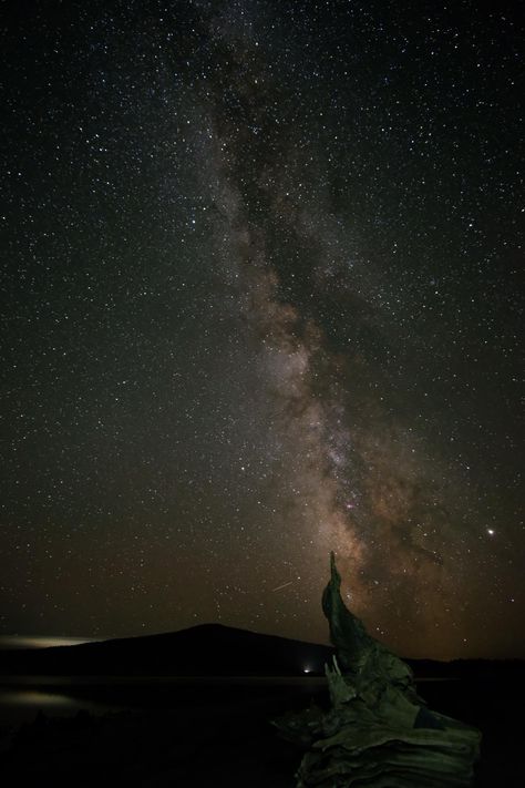 Spent the night in the pacific northwest. Absolutely no light pollution makes me happy! No Light Pollution Night, No Light Pollution, Aurora Lights, No Light, Light Pollution, The Pacific Northwest, Camping Hiking, The Pacific, Pacific Northwest