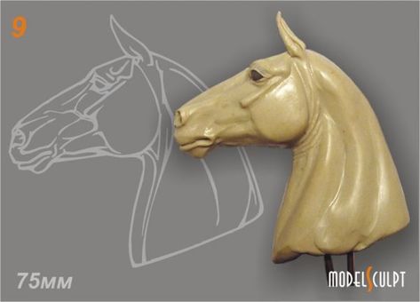 Horse Head Sculpture, Sculpting Tutorials, Ceramic Sculpture Figurative, Horse Anatomy, Horse Inspiration, Horse Sculpture, Pottery Sculpture, Ceramic Animals, Equine Art