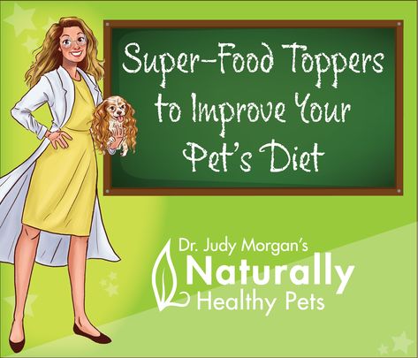 Dr Judy Morgan Recipes, Diy Dog Food, Food Topper, Loaf Recipes, Super Food, Healthy Dog Food Recipes, Food Nutrition, Healthy Pets, Animal Behavior