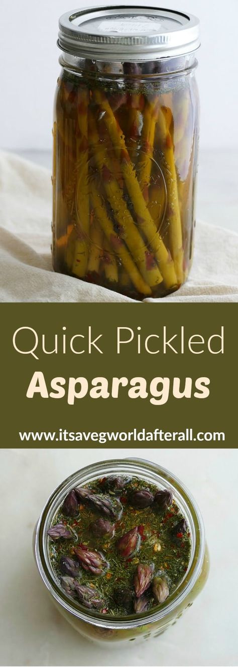 Quick Pickled Asparagus - learn how to make homemade refrigerator pickled asparagus with this easy recipe. It's foolproof, delicious, and fun to make! #pickledveggies #homepickling Pickled Asparagus Recipe Refrigerators, Preserving Asparagus, Asparagus Pickles, Pickled Asparagus Recipe, Pickled Things, Pickled Foods, Pickled Asparagus, Asparagus Recipes, Quick Pickled