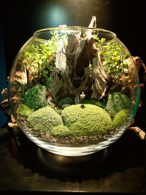 Small Moss Terrarium, Sphere Terrarium, Mini Forest Terrarium, Moss Closed Terrarium, Hobbit Garden, Moss Tarerium, Moss Crystal Terrarium, Unusual Planter, Terrarium Jar