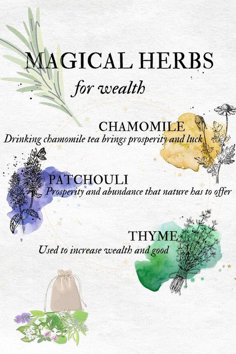 Herbs For Wealth, Thyme Uses, Herbal Witch, Witchy Kitchen, Green Witchcraft, Wiccan Magic, Healing Spells, Magical Herbs, Energy Healing Spirituality