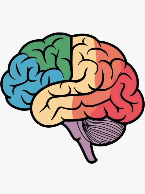 "Colorful Brain Sticker - Neurodiversity Pride & Brain Art" Sticker for Sale by WatermelonPink | Redbubble Brain Sticker, Brain Art, Sticker Art, Brain, Vision Board, For Sale, Quick Saves, Color, Art