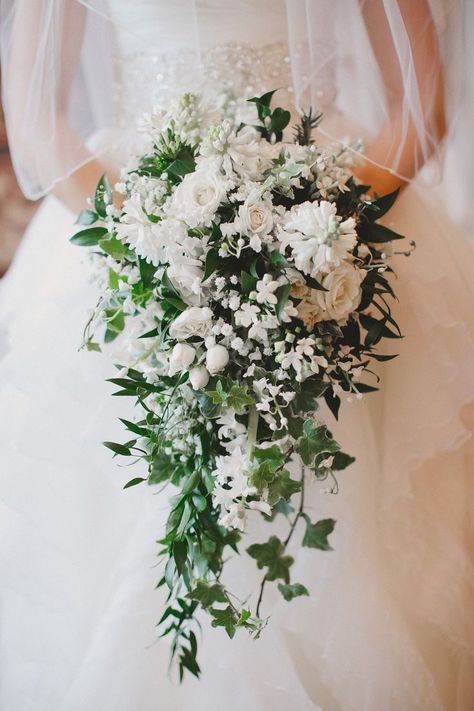 Cascading bouquet. Pictured: Bouvardia, Lilly of the Valley, Hyacinth, Spray Rose, Baby's Breath, Ivy, Italian Ruscus. By Fache Floral Designs, #wedding #flowers #brides #floral #women's #weddingideas #bridesmaid Wedding Bouquet Shapes, Spray Bouquet, Trailing Bouquet, Cascading Bouquet, Cascading Bridal Bouquets, Italian Ruscus, Cascading Wedding Bouquets, Rose Wedding Bouquet, Cascade Bouquet