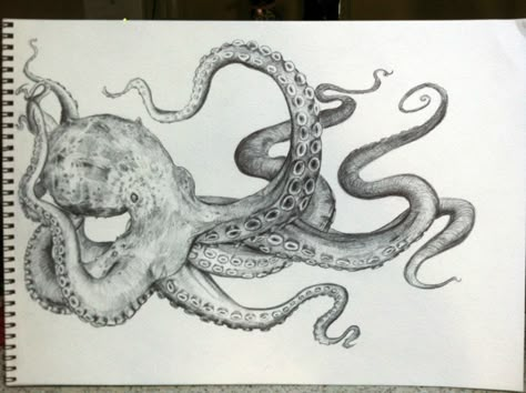 Drew an octopus for a friend today - Imgur                                                                                                                                                     More Octopus Tentacles Drawing, Octopus Sketch, Natur Tattoo Arm, Octopus Drawing, Octopus Tattoo Design, Octopus Tattoos, Model Tattoo, Octopus Design, Octopus Tentacles