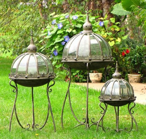 Inside Glass Greenhouse, Glass Cloche Ideas, Gothic Cloche Ideas, Terrarium Lantern, Glass Bird Cage, Chandelier Terrarium, Victorian Terrariums, Lantern Terrarium, Ornate Greenhouse