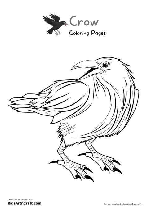 Crow Coloring Pages for Kids – Free Printables Check more at https://www.kidsartncraft.com/crow-coloring-pages/ Crow Coloring Page, Printables Free Kids, Coloring Page Ideas, Coloring Pages Printable, Page Ideas, Free Kids, Coloring Pages For Kids, Coloring Page, Free Printables