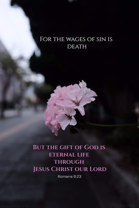 Romans 6:23, Romans Verses, Wages Of Sin, Boss Queen, Romans 6 23, Romans 6, Mobile Backgrounds, Christian Backgrounds, Gods Love Quotes