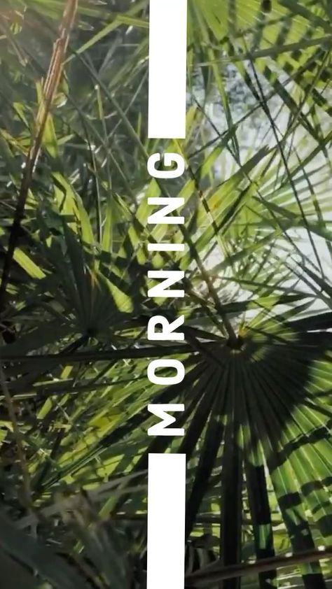 Nature Instagram Story Ideas, Instagram Story Ideas Nature, Morning Instagram Story Ideas, Good Morning Story Instagram, Morning Story Instagram, Morning Instagram Story, Story For Instagram, Organization Nursery, Instagram Design Creative