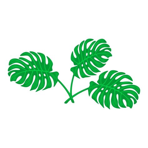 Wrap Ideas, Monstera Leaves, Banana Leaves, Hand Embroidery Design, Banana Leaf, Monstera Leaf, Make Color, Design Png, Svg Design