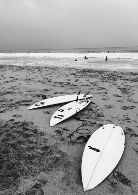 Black And White Surf Photography, Photo Recreation, Surf Club, Live Your Dream, Surf Camp, Surf House, Surfing Photography, Surf Life, Pretty Photos