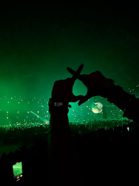 Xo The Weeknd Aesthetic, The Weeknd Concert Pics, The Weekend Concert Aesthetic, The Weeknd Green Aesthetic, Xo Aesthetic The Weeknd, The Weeknd Girl Aesthetic, The Weeknd Aesthetic Outfits, Weeknd Concert Aesthetic, The Weeknd Concert Aesthetic