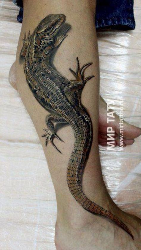 Iguana Tattoo, Ladybird Tattoo, Lizard Tattoo, Snake Wallpaper, Photoshop Backgrounds Free, 3d Tattoos, 3d Tattoo, Spine Tattoos, 3d Painting