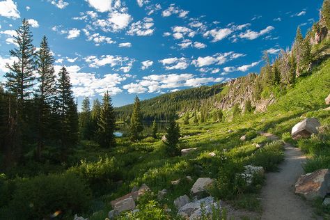 Tony Grove Lake, up Logan Canyon in Logan Utah. First time snowmobiling was here!!! Tony Grove Lake Utah, Cache Valley Utah, First Time Camping, Utah Camping, Logan Utah, Camping Photography, Utah Hikes, Utah Travel, Summer Road Trip