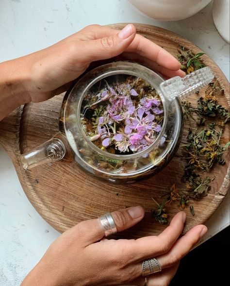 Herbal Healing Aesthetic, Herbal Magic Aesthetic, Tea Herbs Aesthetic, Modern Herbalist Aesthetic, Tea Making Aesthetic, Herble Medicine, Holistic Medicine Aesthetic, Herbal Product Photography, Tea Lifestyle Photography