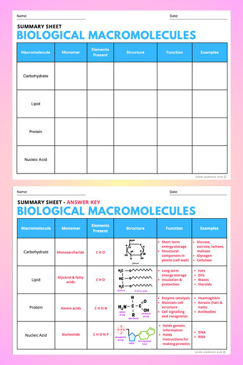 This worksheet provides an organized table that guides students through the essential details of each macromolecule. It covers monomers, elements, structural diagrams, and descriptions, ensuring a thorough understanding. Macromolecules Biology Activities, Macromolecules Biology Notes, Macromolecules Biology, Biological Macromolecules, High School Biology Classroom, Biology Revision Notes, Interactive Powerpoint Presentation, Student Information Sheet, Biology Activity