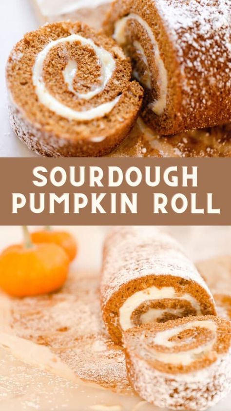 This sourdough pumpkin roll pairs fluffy, sweet, spiced sourdough cake with a delicious, cream cheese filling. Literally, the best fall treat. #farmhouseonboone #sourdough #sourdoughpumpkinroll #pumpkinroll Sourdough Rolls, Pumpkin Rolls Recipe, Recipe Using Sourdough Starter, Cream Cheese Rolls, Sourdough Starter Discard Recipe, Homemade Sourdough Bread, Sourdough Starter Recipe, Pumpkin Roll, Pumpkin Cream Cheeses