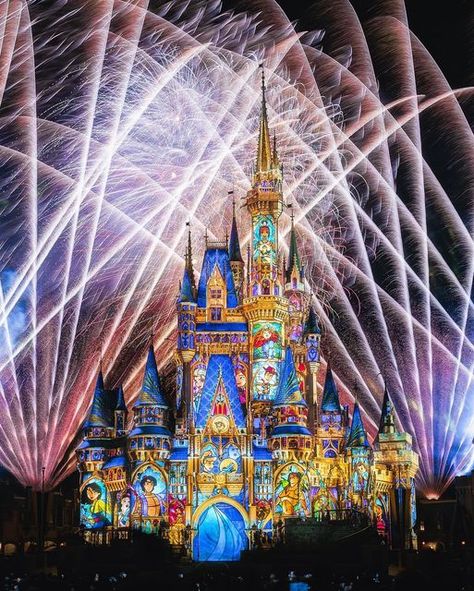 Disney World Aesthetic, Disney Descendants Movie, Disney Fireworks, Trippy Iphone Wallpaper, Disney Orlando, Disney Descendants, Disney Castle, Disney Tips, Do You Believe