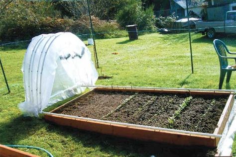 DIY-Greenhouses-apieceofrainbowblog (27) Serre Diy, Hoop House, Greenhouse Plans, Diy Greenhouse, Garden Greenhouse, Have Inspiration, Greenhouse Gardening, Green House, Garden Structures