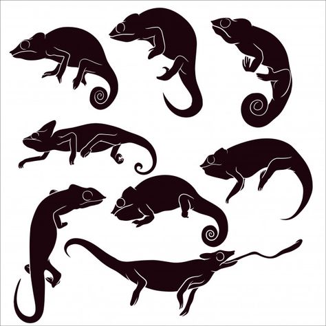 Chameleon Silhouette, Chameleon Drawing, Chameleon Tattoo, Unicorn Farts, Jungle Decorations, Jungle Theme Birthday, Silhouette Tattoos, Space Painting, Chameleons