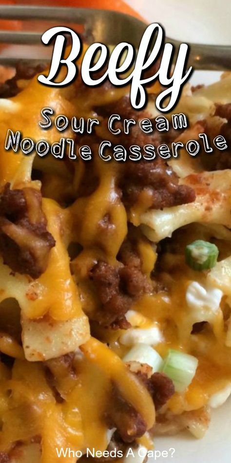 Family Favorite Casseroles, Hamburger Casseroles Recipes, Noodle Casserole Recipes, Ground Beef Casserole Recipes, Favorite Casseroles, Beef Casserole Recipes, Noodle Casserole, Ground Beef Casserole, Ground Beef Recipes Easy