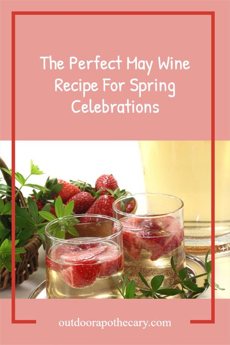 May wine recipe is traditionally served in the spring on Beltane or the May Day holiday but is delicious any time of the year. Made with sweet woodruff and strawberries. May Day Recipes, May Wine, Preserve Fruit, Recipes For Gut Health, Kefir Water, Moon Vibes, Fermented Drinks, Spring Wine, Sweet Woodruff