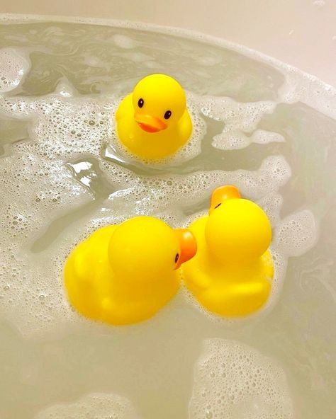 Rubber Duckies Aesthetic, Rubber Ducks Aesthetic, Beth Core, Yellow Rubber Duck, Duck Duck Goose, Rubber Duckies, Quack Quack, Rubber Ducks, Duck Duck