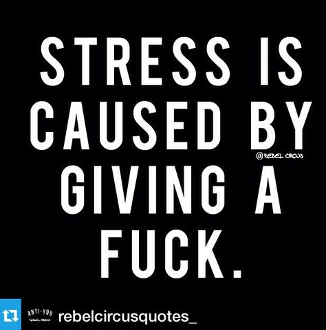 ❄️❄️ super amazing #weekend up north going back to a stress free bubble ❄️❄️❄️ ・・・ Stress less and realize that NOTHING really matters #RebelCircus #rawwellnessinfo #motivation #quote #bestquotes #hilarious #comedy #instagood #wordsofwisdom #laugh Nothing Really Matters, Matter Quotes, Smart Women, Quotes Thoughts, Wise Quotes, 2024 Vision Board, How I Feel, 2024 Vision, Best Quotes