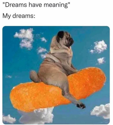 Funny V, Twitter Funny, Funny Dog Memes, Weird Dreams, Morning Humor, Extremely Funny Jokes, Funny Animal Memes, Dog Gifs, Dog Memes