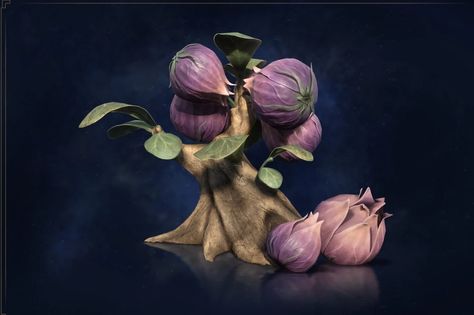 Shrivelfig | Harry Potter Wiki | Fandom Harry Potter Botanical, Novel Harry Potter, Harry Potter Prequel, Harry Potter Plants, Phoenix Harry Potter, Harry Potter Wiki, Rubeus Hagrid, Plant Study, Crimes Of Grindelwald