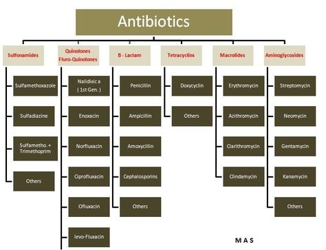 physicians for the glory of CHRIST: Antibiotics .....Classification Antibiotics Nursing, Antibiotics Chart, Nurse Notes, Medical Procedures, Family Nurse Practitioner, Pa School, Pharmacy School, Pharmacology Nursing, Medical Laboratory Science