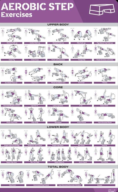 Step Aerobic Workout, Step Exercises, Fitness Posters, Pull Day Workout, Gym Routines, Stepper Workout, Mat Pilates Workout, Aerobic Step, Printable Workout